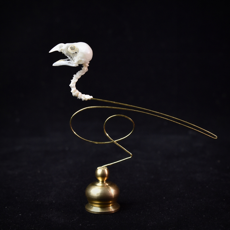 2111 Boutique Ethical Bird Sku - Art Craft Museum review and price