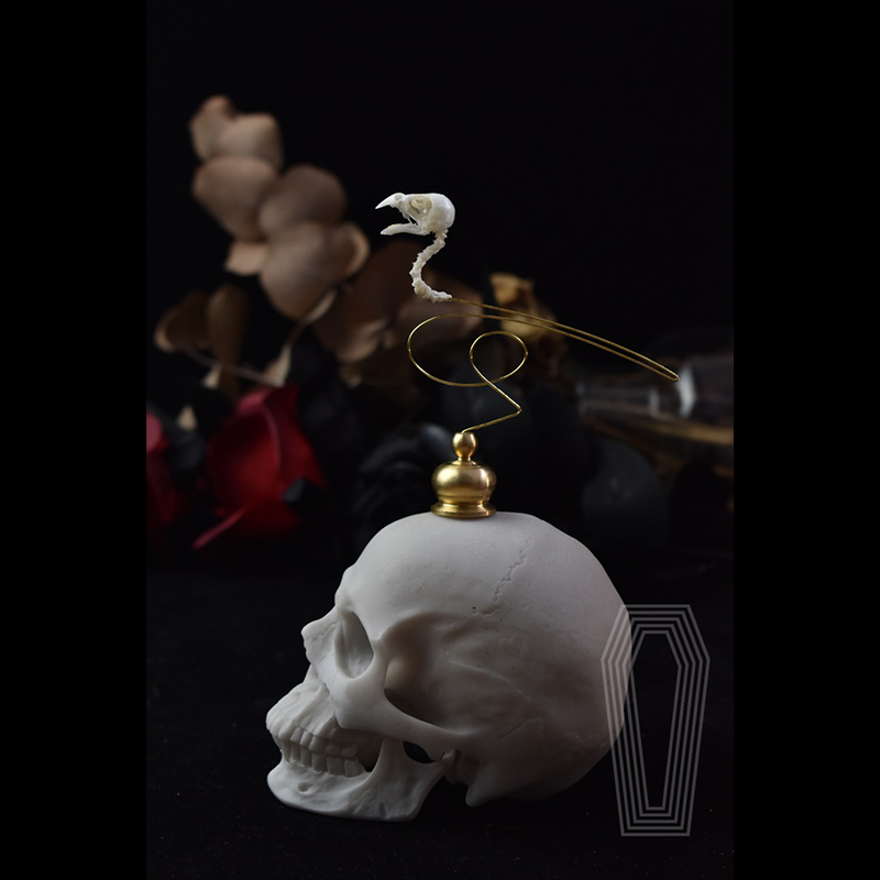 2111 Boutique Ethical Bird Sku - Art Craft Museum review and price