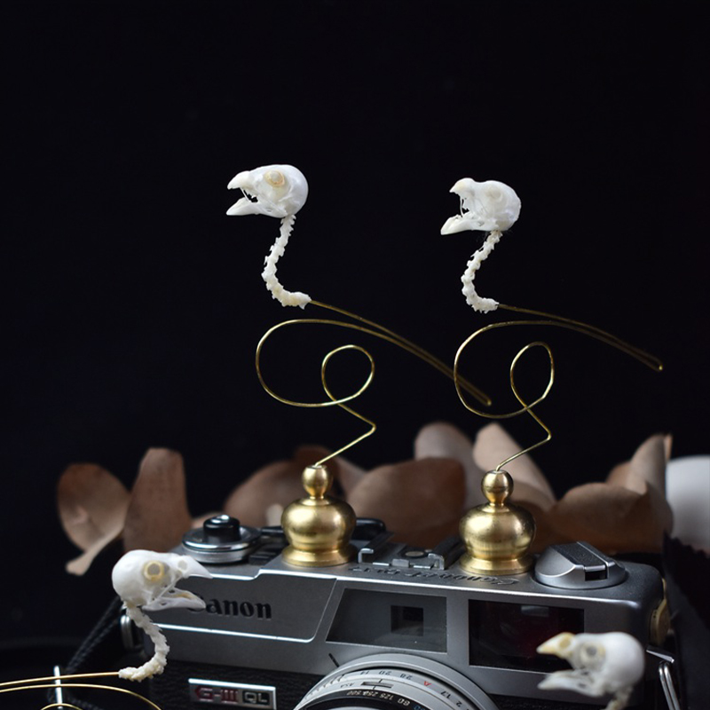 2111 Boutique Ethical Bird Sku - Art Craft Museum review and price