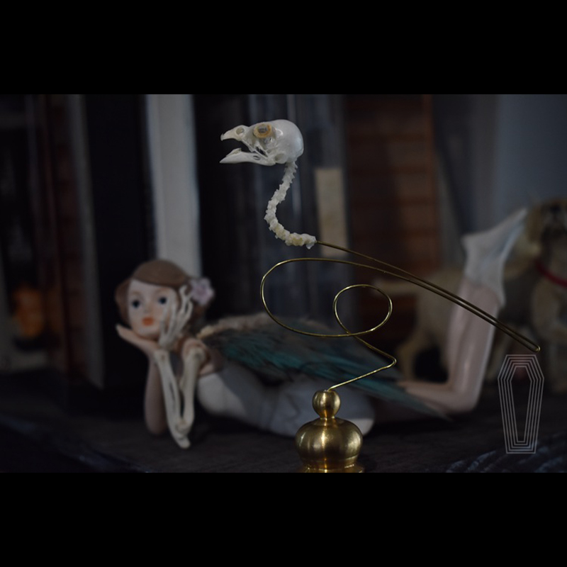 2111 Boutique Ethical Bird Sku - Art Craft Museum review and price